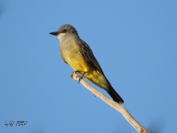 Fundraising Page Image